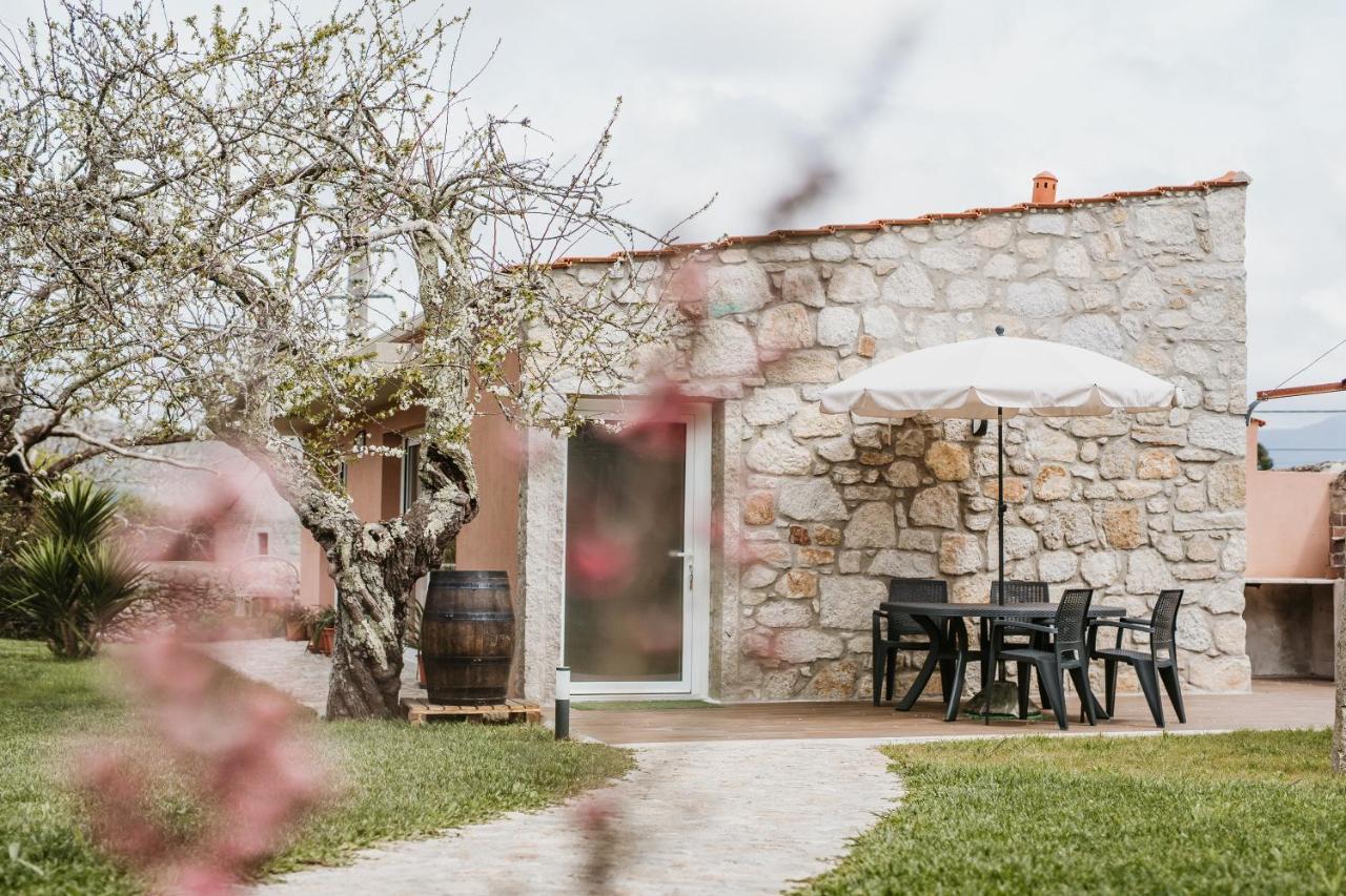 Forno House - Ameixoeira Vila Praia de Âncora Extérieur photo